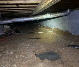 vanguard crawl space waterproofing huntsville al 2026 03 10T21 37 31.552425Z 36692 1